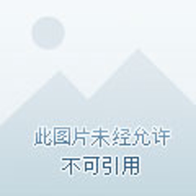 网店装修新趋势：打造线上购物新体验